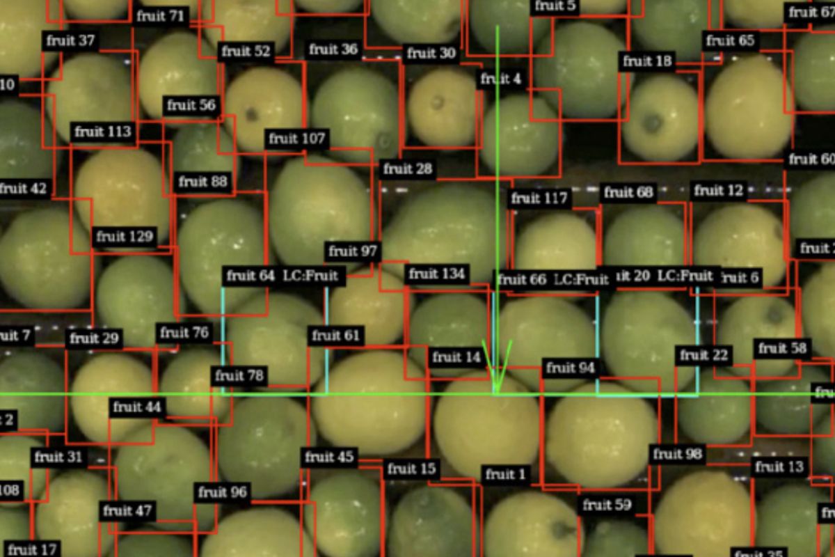 AI Transforming Food Processing - Food + Beverage Technology
